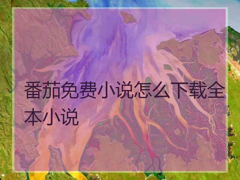 番茄免费小说怎么下载全本小说