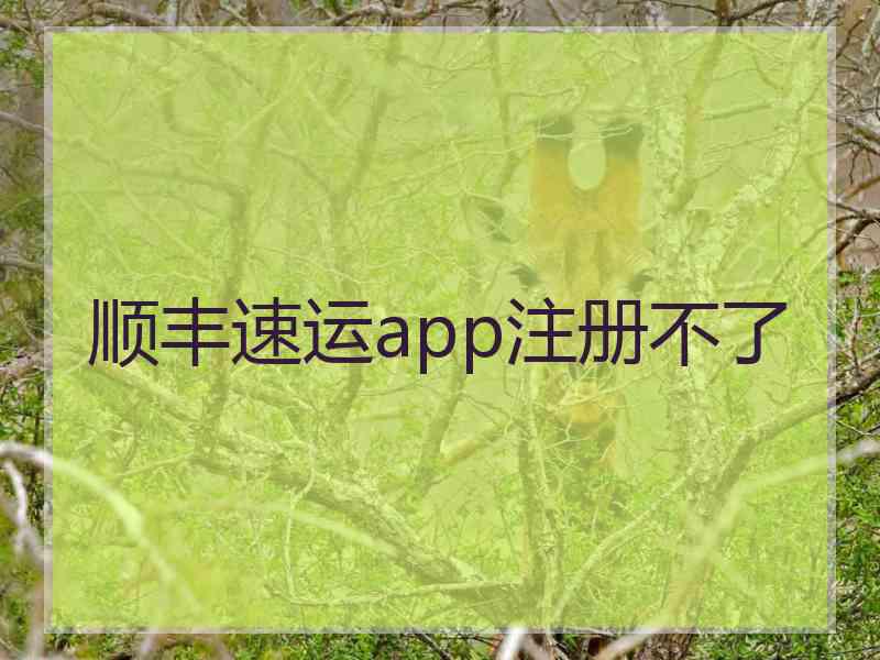 顺丰速运app注册不了