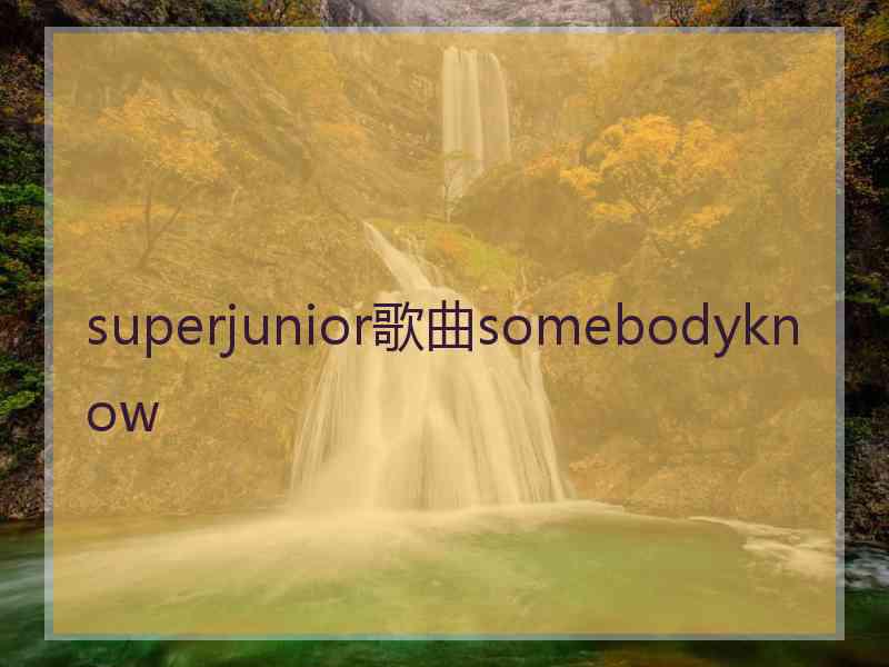 superjunior歌曲somebodyknow