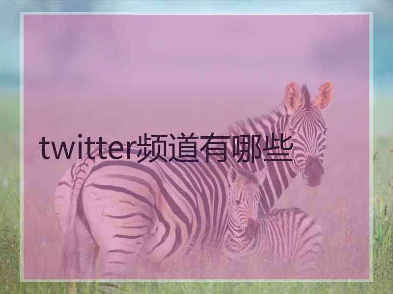 twitter频道有哪些