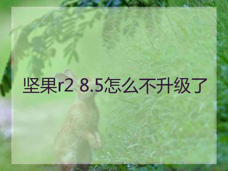 坚果r2 8.5怎么不升级了