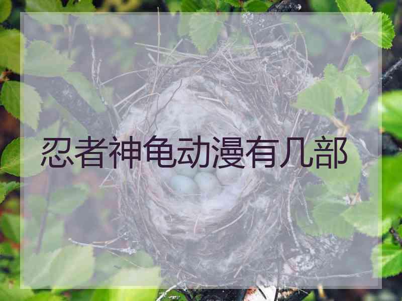 忍者神龟动漫有几部