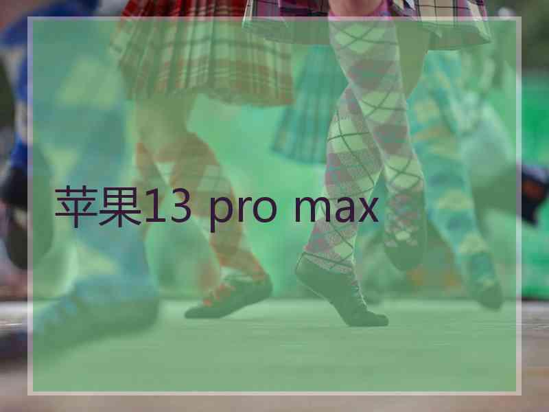 苹果13 pro max