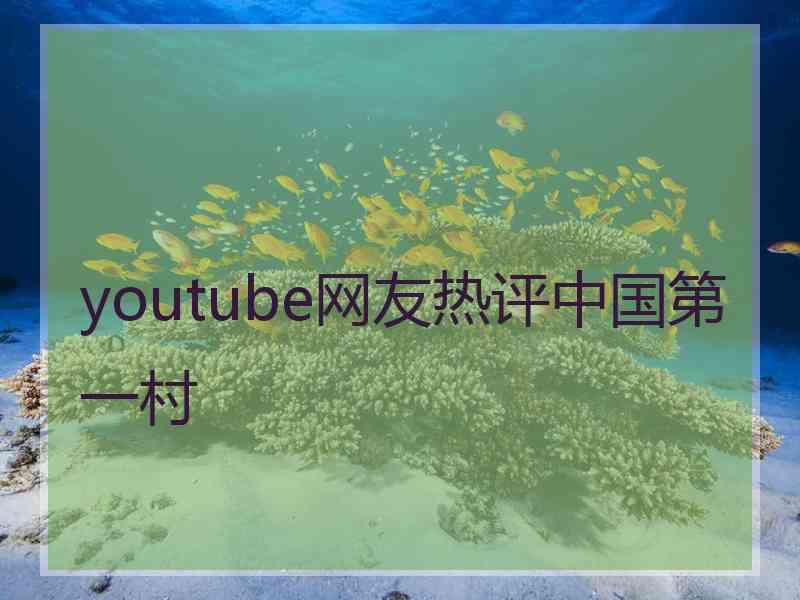 youtube网友热评中国第一村