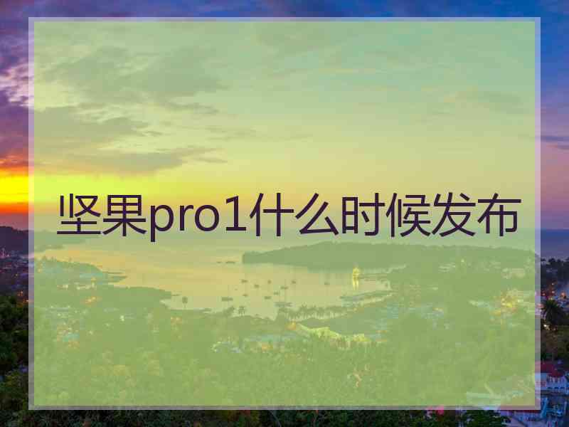 坚果pro1什么时候发布