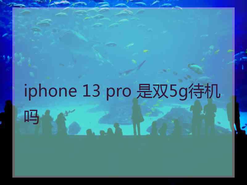 iphone 13 pro 是双5g待机吗