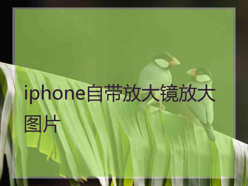 iphone自带放大镜放大图片