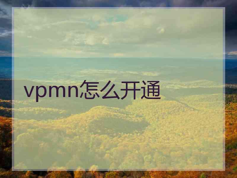 vpmn怎么开通