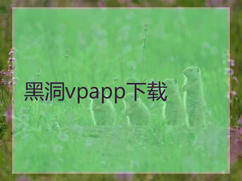 黑洞vpapp下载