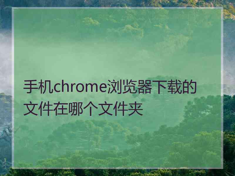 手机chrome浏览器下载的文件在哪个文件夹