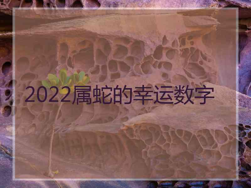 2022属蛇的幸运数字