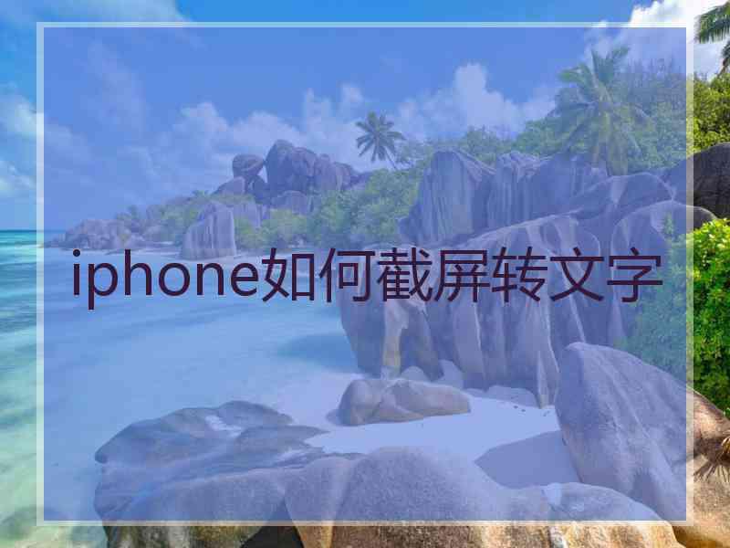 iphone如何截屏转文字