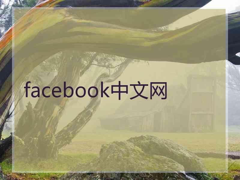 facebook中文网