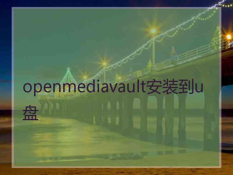 openmediavault安装到u盘