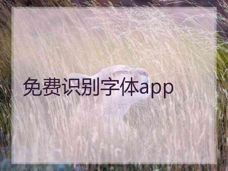 免费识别字体app