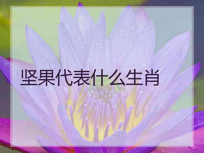 坚果代表什么生肖