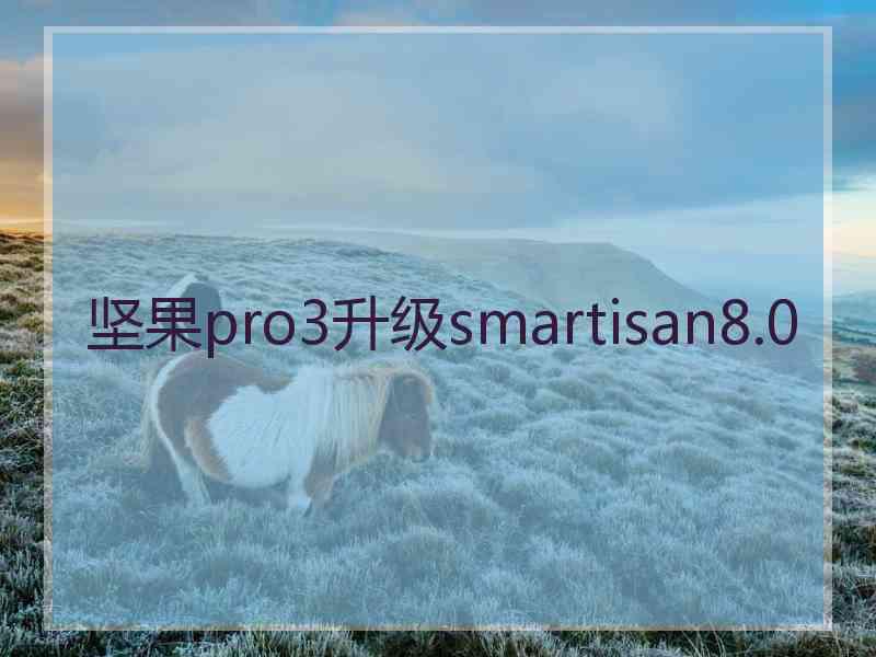 坚果pro3升级smartisan8.0