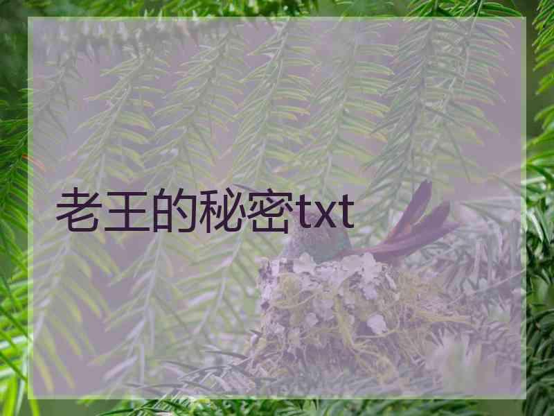 老王的秘密txt