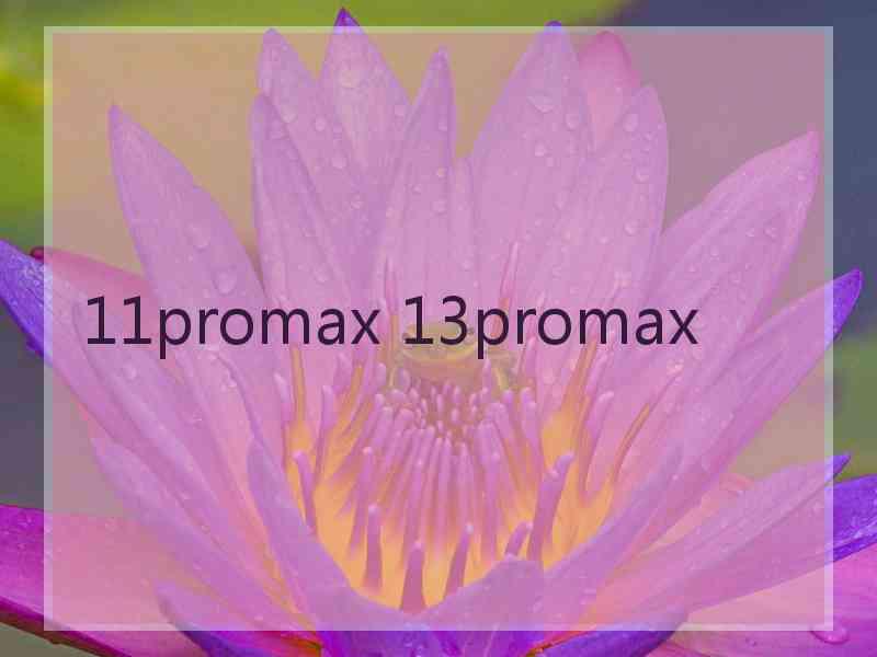 11promax 13promax