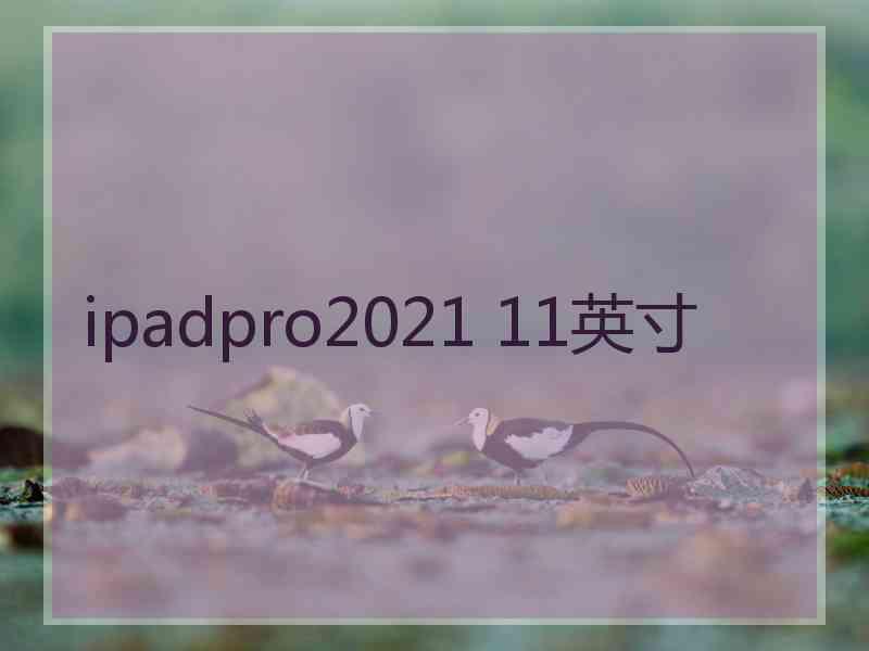 ipadpro2021 11英寸