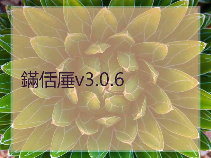 鏋佸厜v3.0.6