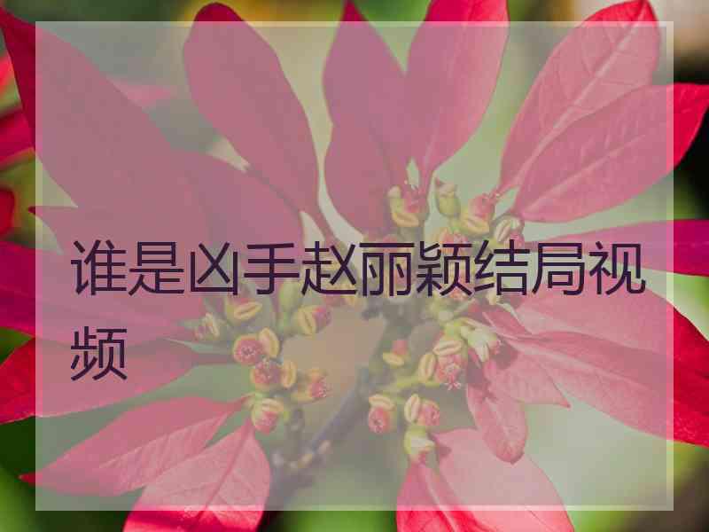 谁是凶手赵丽颖结局视频