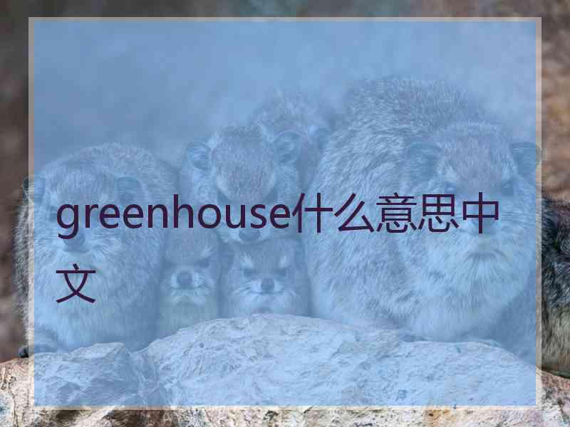 greenhouse什么意思中文