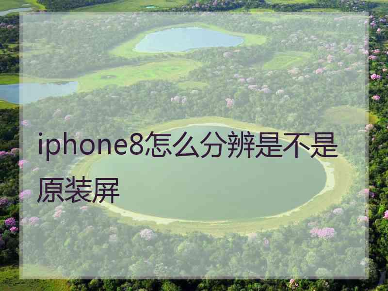 iphone8怎么分辨是不是原装屏