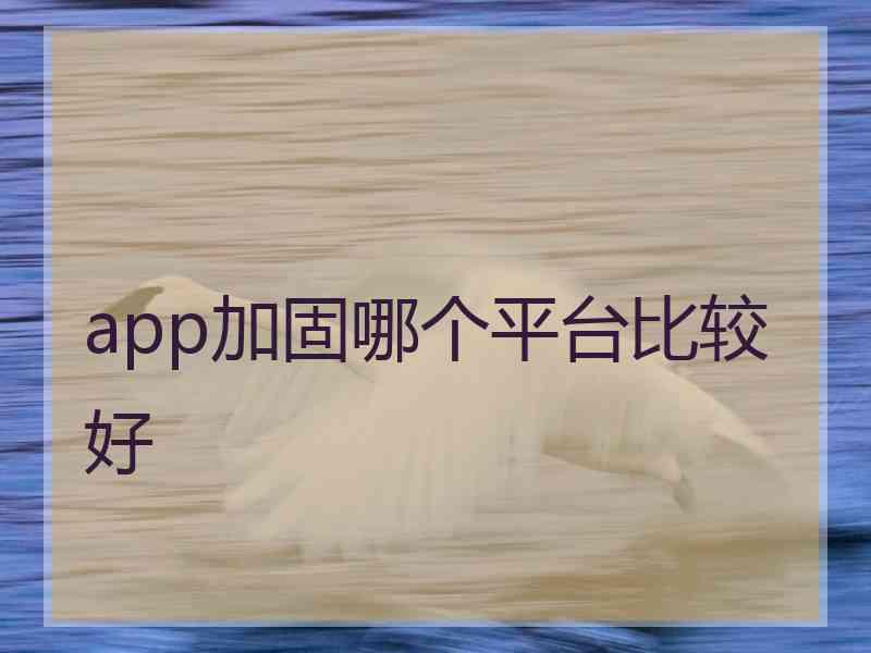 app加固哪个平台比较好