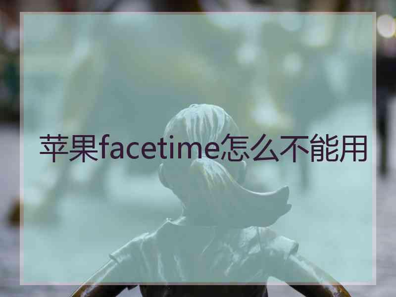 苹果facetime怎么不能用