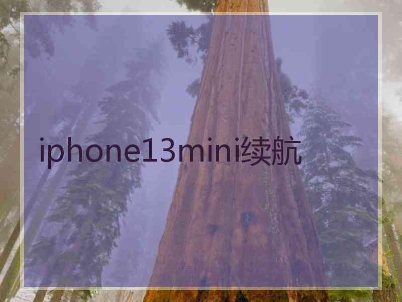 iphone13mini续航