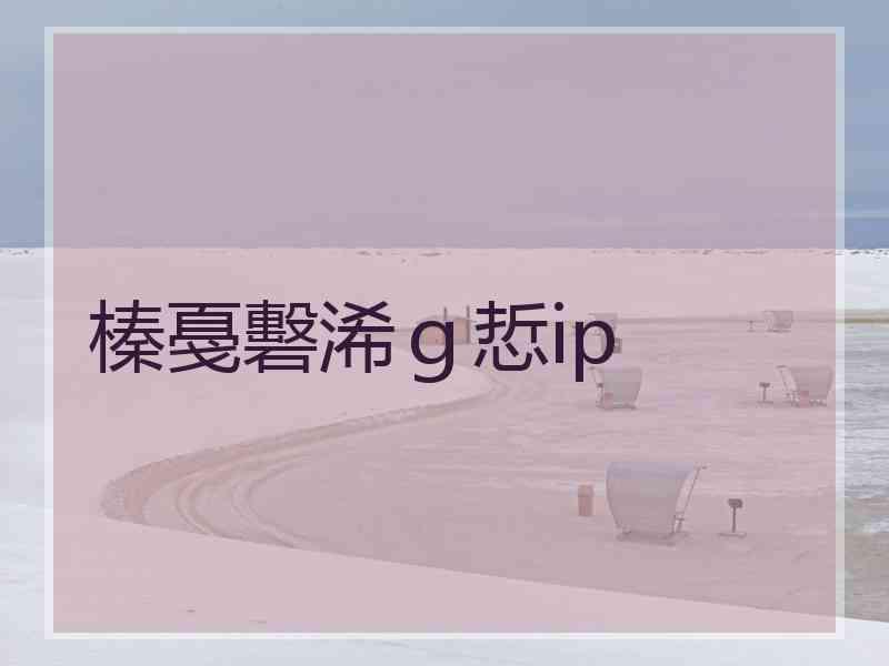 榛戞礊浠ｇ悊ip