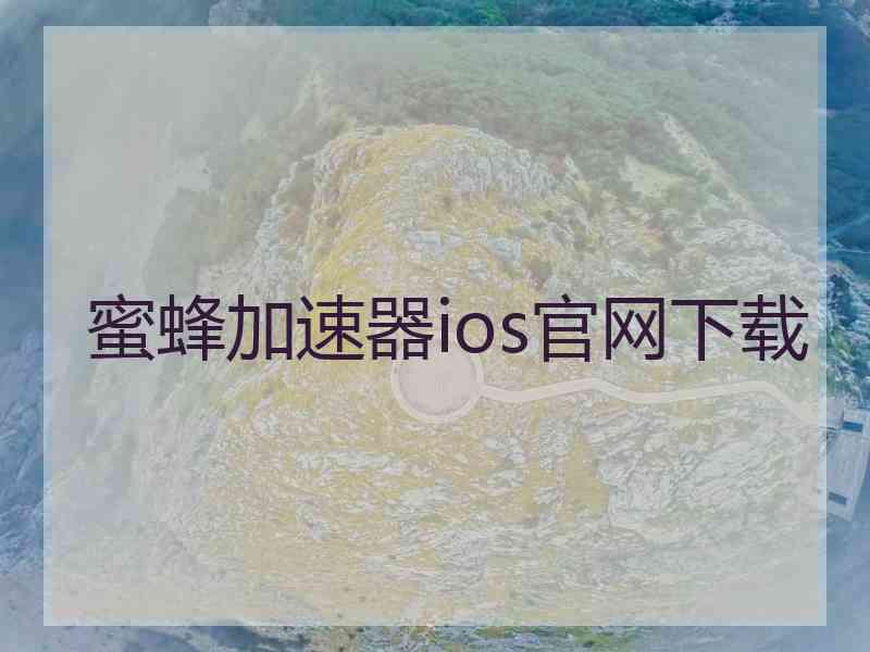 蜜蜂加速器ios官网下载