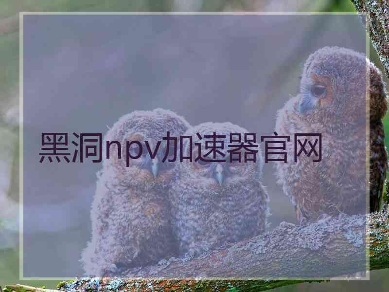 黑洞npv加速器官网