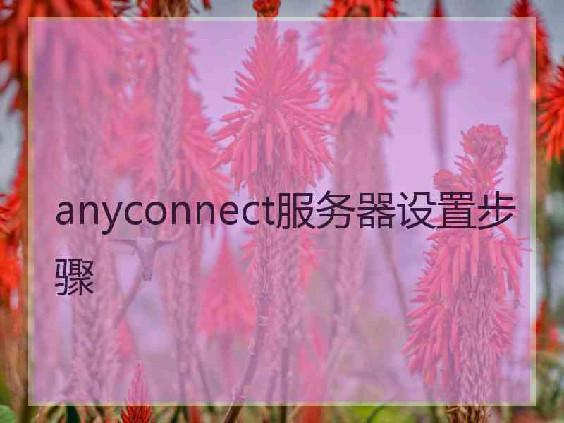 anyconnect服务器设置步骤