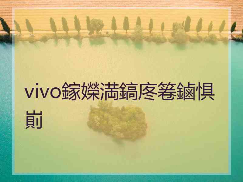 vivo鎵嬫満鎬庝箞鏀惧崱