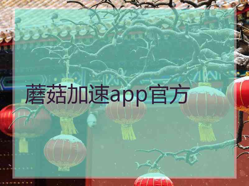 蘑菇加速app官方