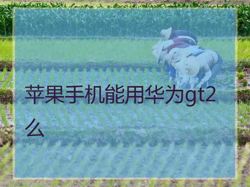 苹果手机能用华为gt2么