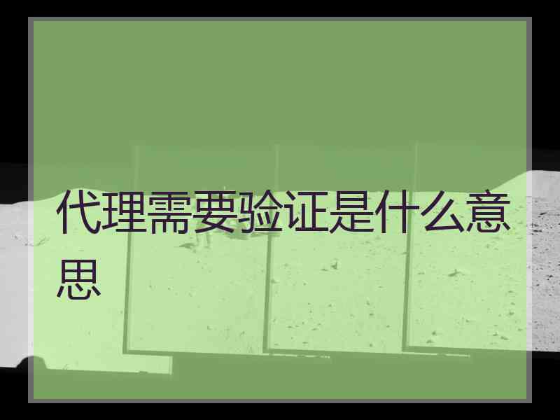 代理需要验证是什么意思