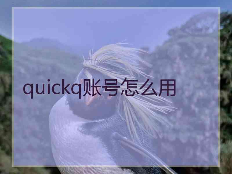 quickq账号怎么用