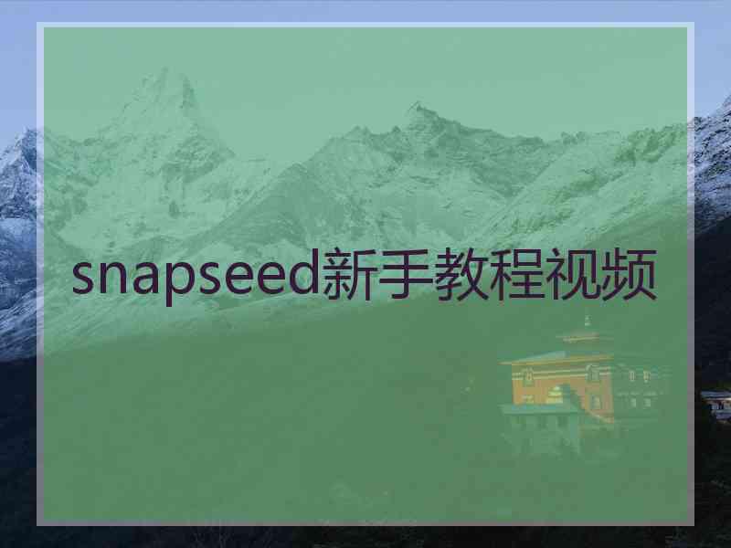 snapseed新手教程视频