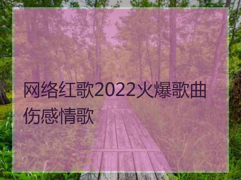 网络红歌2022火爆歌曲伤感情歌