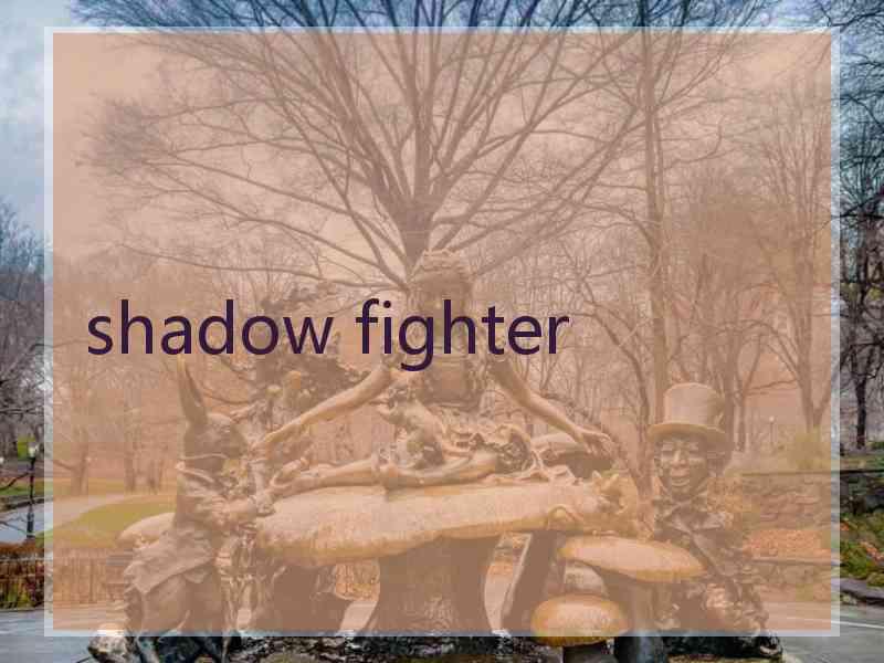 shadow fighter