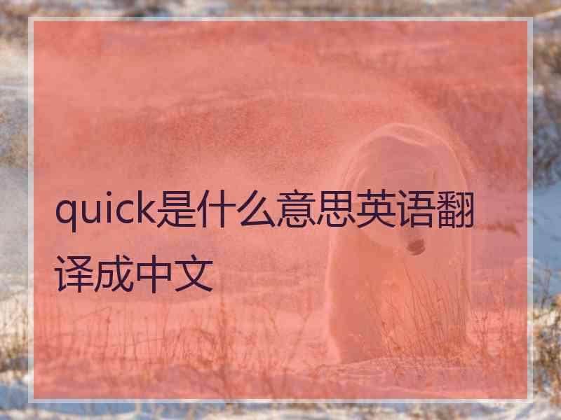 quick是什么意思英语翻译成中文