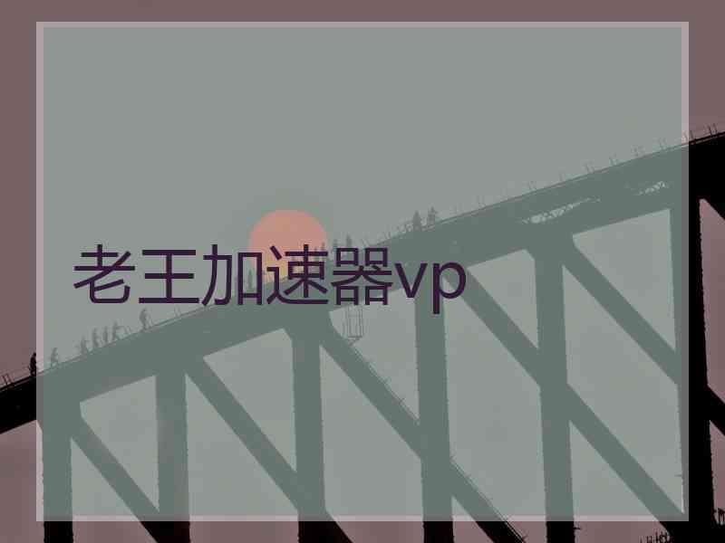 老王加速器vp