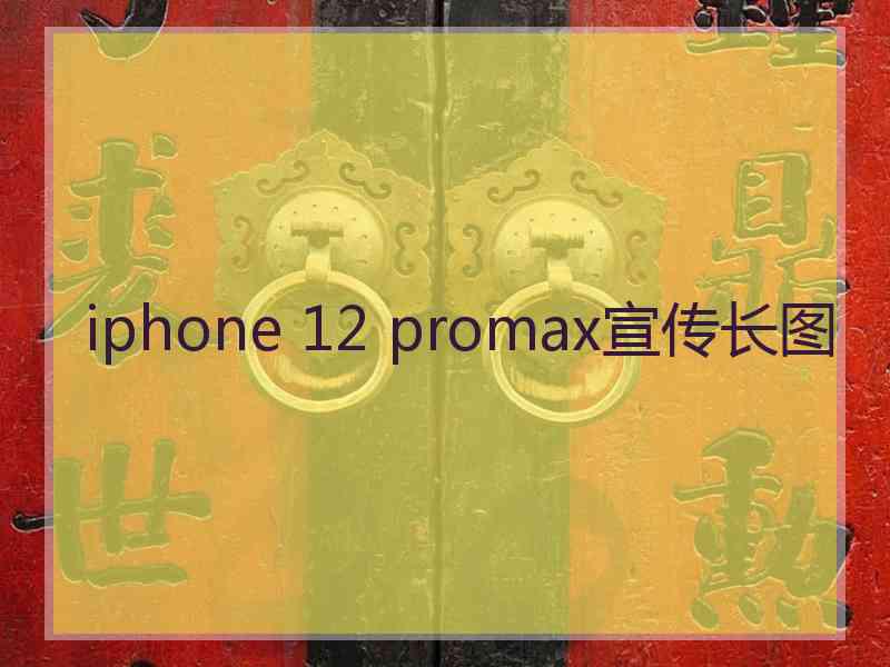 iphone 12 promax宣传长图