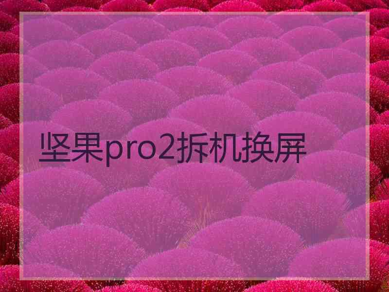 坚果pro2拆机换屏