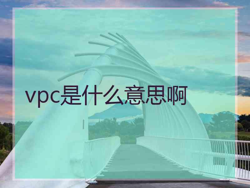 vpc是什么意思啊