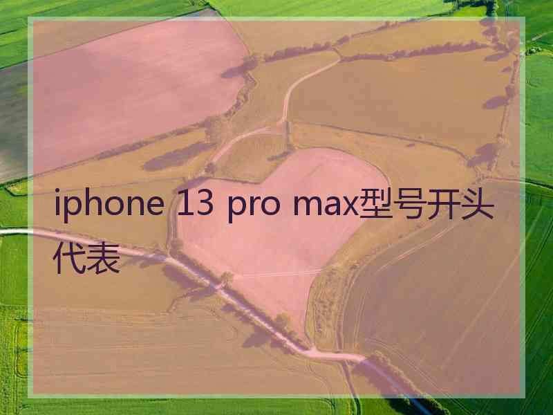 iphone 13 pro max型号开头代表