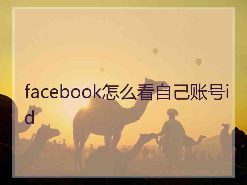 facebook怎么看自己账号id